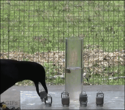 seen-on-badchix-daily-fresh-baked-randomness-36-photos-05.gif