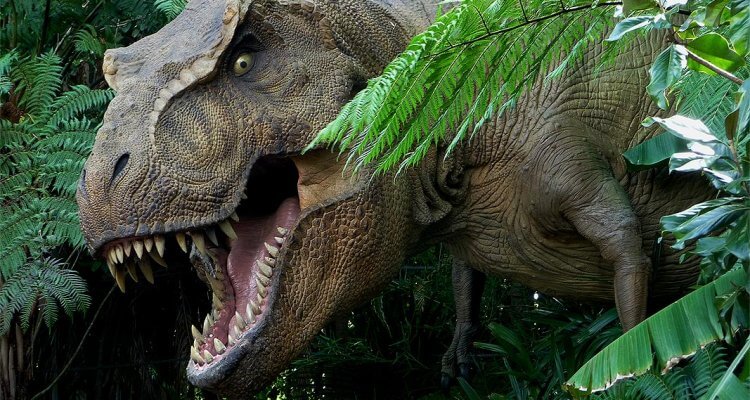 tiny t rex arms