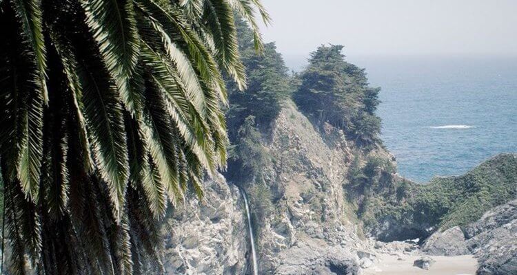 paradise