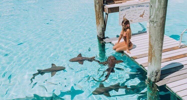 Daily Fresh Baked Randomness (40 Photos) 1