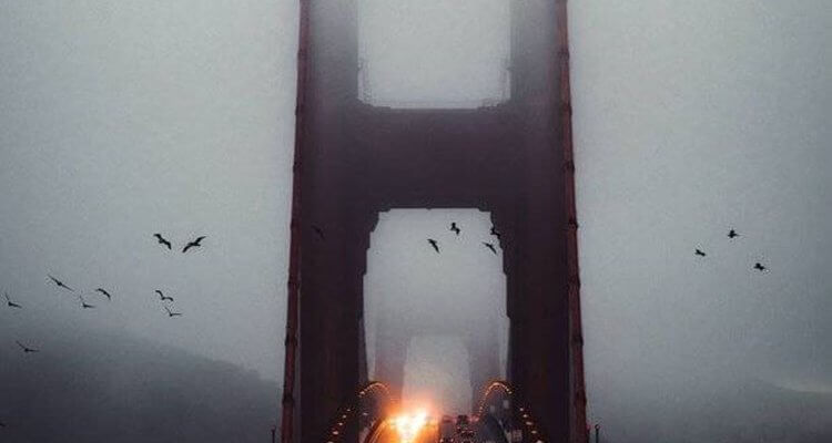 Weekend Randomness (40 Photos) 1